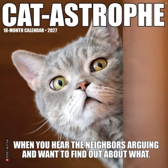Cat-astrophe 2027 Mini av Willow Creek Press