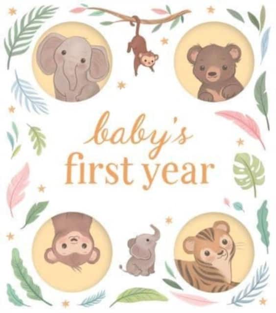 Baby's First Year av Igloo Books