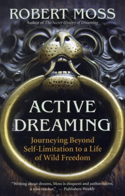 Active Dreaming av Robert Moss