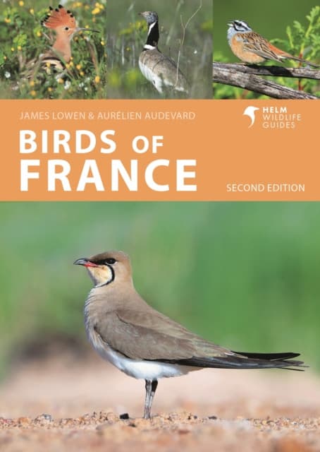 Birds of France