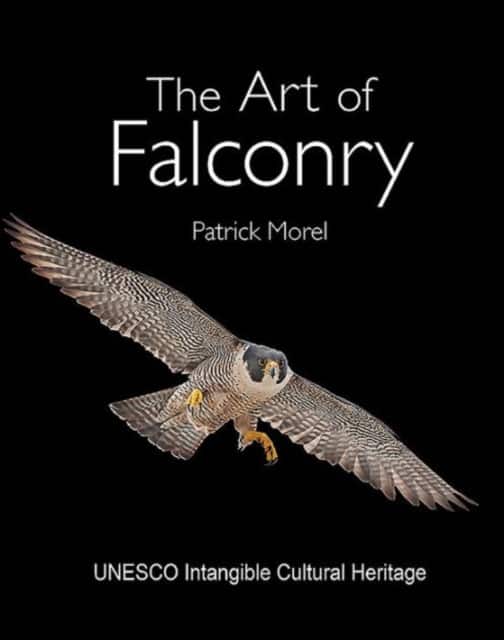 The Art of Falconry av Mr Patrick Morel