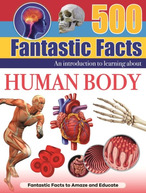 Human Body