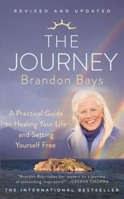 The Journey av Brandon Bays
