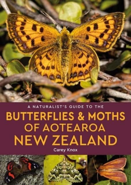 A Naturalist's Guide to the Butterflies & Moths of Aotearoa New Zealand av Carey Knox