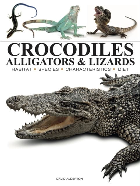 Crocodiles, Alligators & Lizards