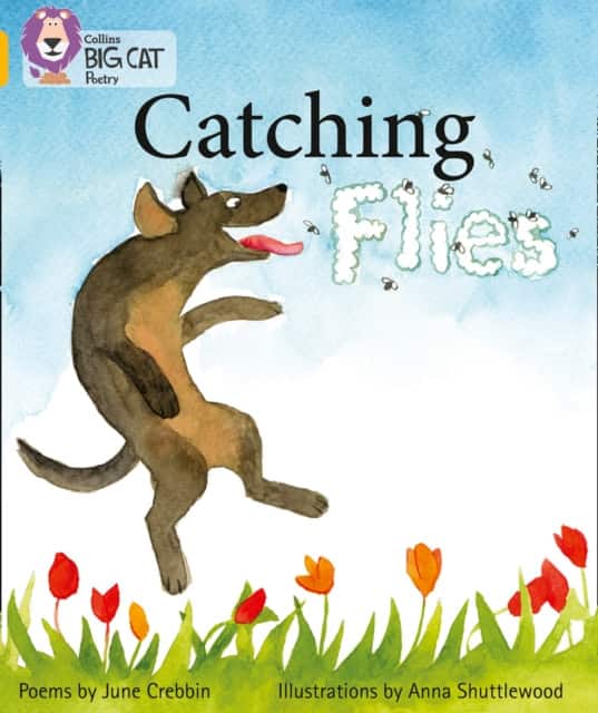 Catching Flies av June Crebbin