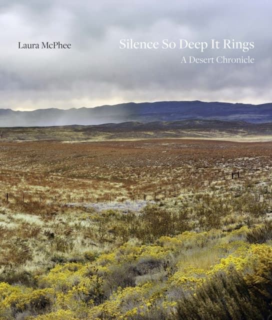 Silence So Deep It Rings