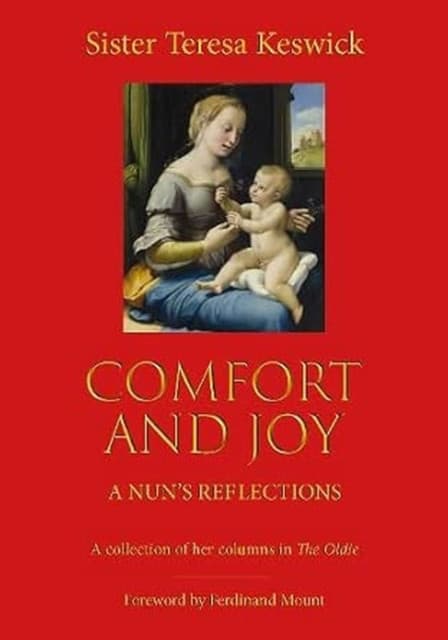 Comfort and Joy - A Nun's Reflections