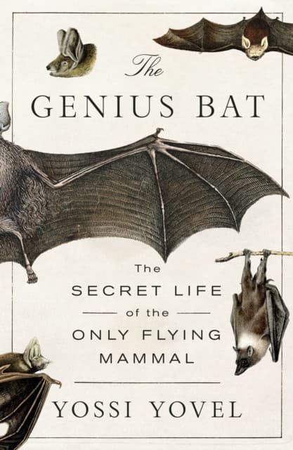 Genius Bat