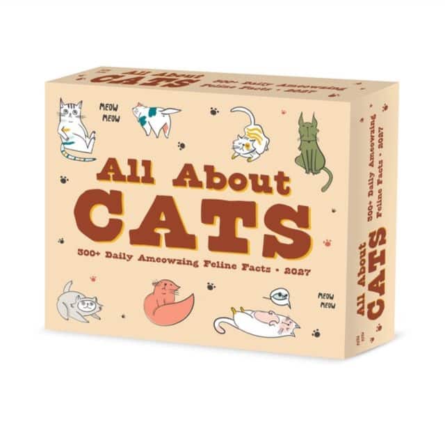 All About Cats 2027 Box av Willow Creek Press