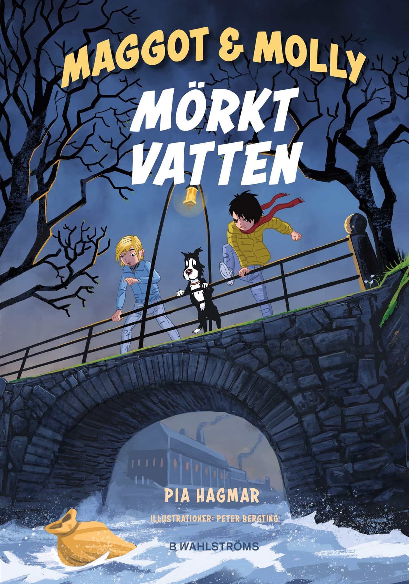 Mörkt vatten av Pia Hagmar