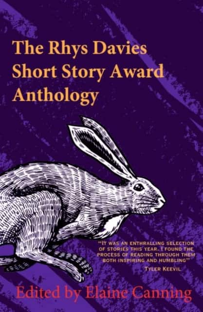 The Rhys Davies Short Story Competition Anthology av Elaine Canning
