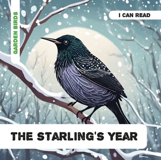 The Starling's Year