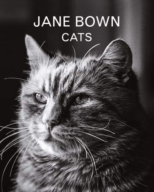 Jane Bown: Cats av Jane Bown
