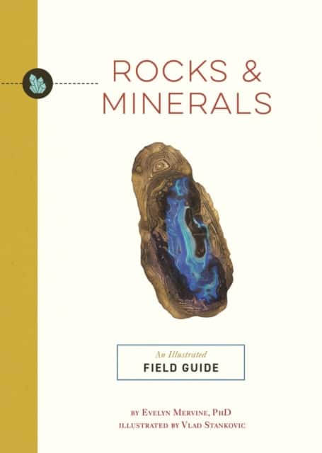 Rocks and Minerals av Evelyn Mervine