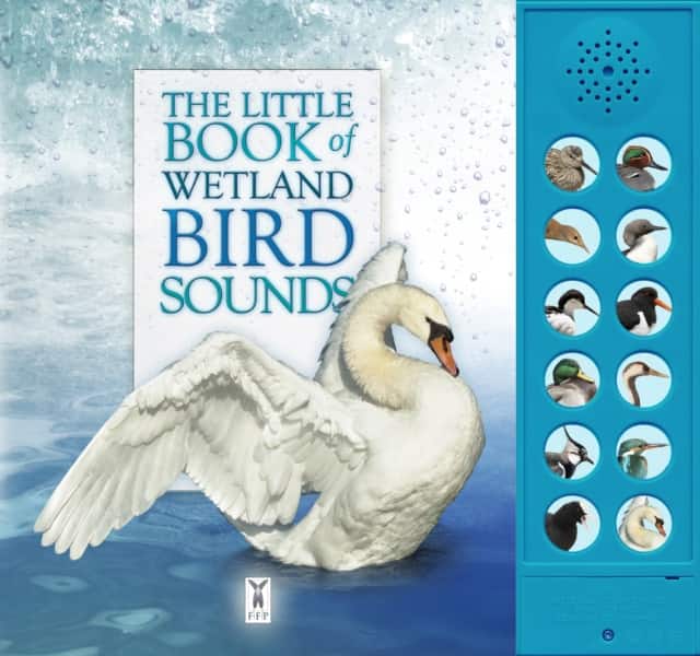 The Little Book of Wetland Bird Sounds av Andrea Pinnington