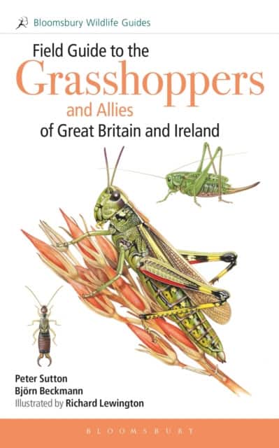 Field Guide to the Grasshoppers and Allies of Great Britain and Ireland av Peter Sutton
