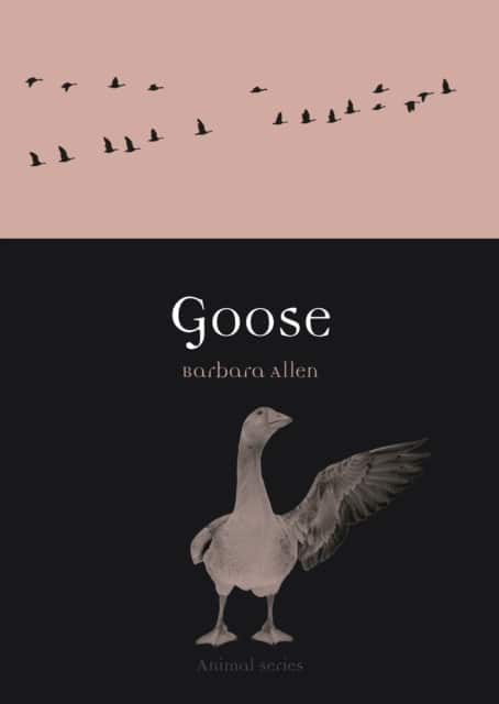 Goose av Barbara Allen