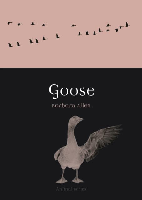 Goose