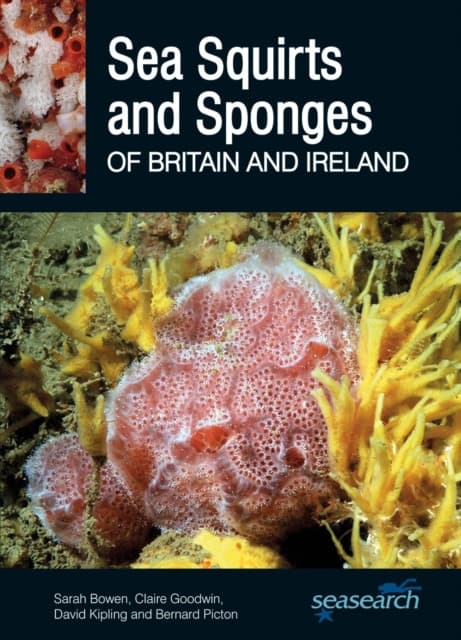 Sea Squirts and Sea Sponges of Britain and Ireland