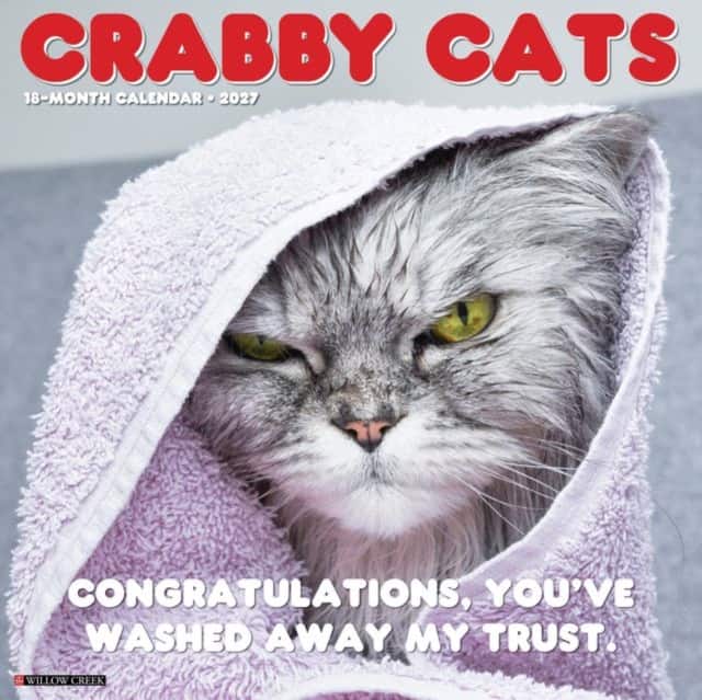 Crabby Cats 2027 Wall av Willow Creek Press