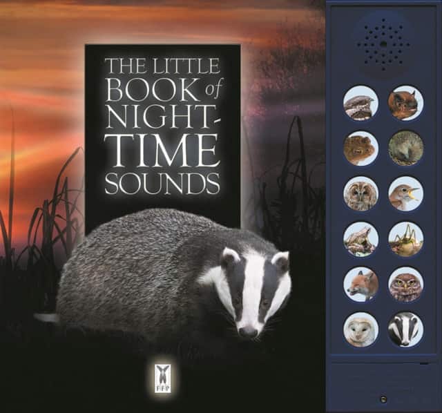 The Little Book of Night-Time Animal Sounds av Andrea Pinnington