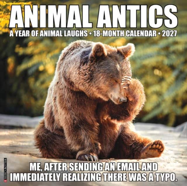 Animal Antics 2027 Wall av Willow Creek Press