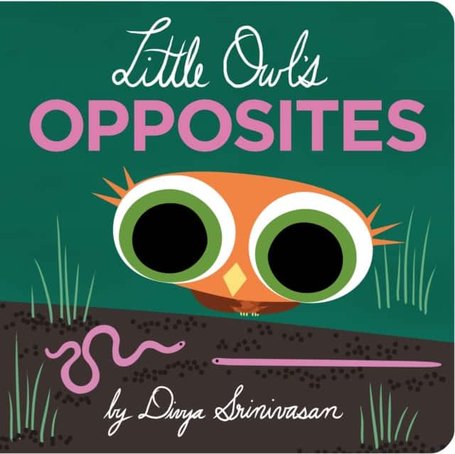 Little Owl's Opposites av Divya Srinivasan