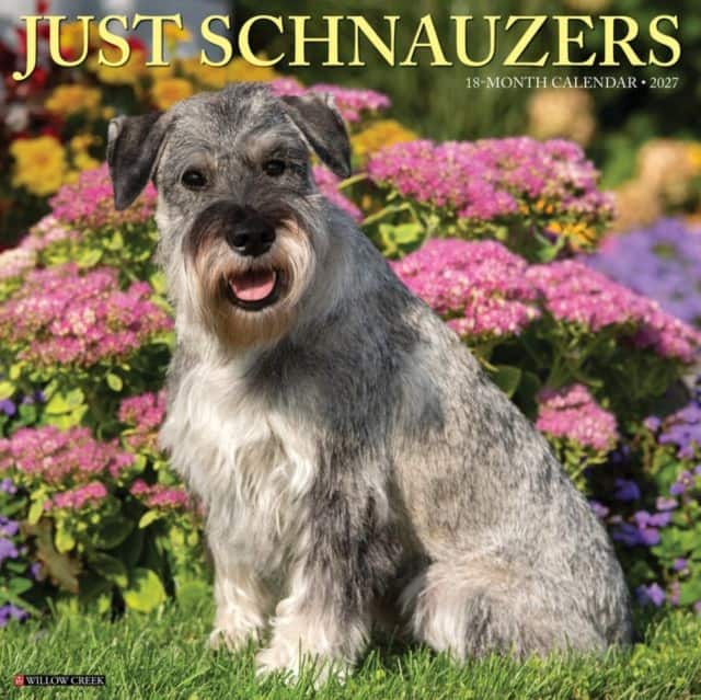 Schnauzers 2027 Wall av Willow Creek Press