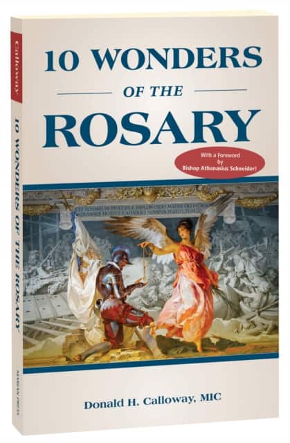 10 Wonders of the Rosary av Father Donald Calloway