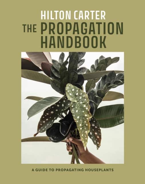 The Propagation Handbook av Hilton Carter