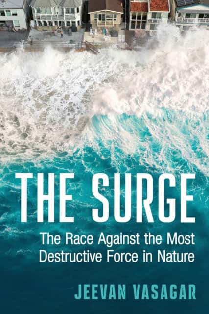 The Surge av Jeevan Vasagar