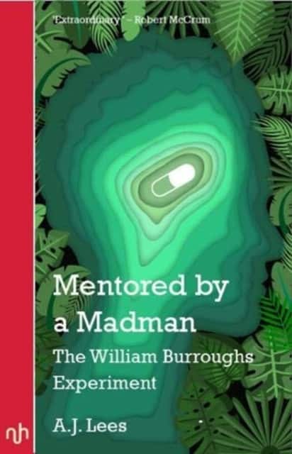 Mentored by a Madman av A.J. Lees