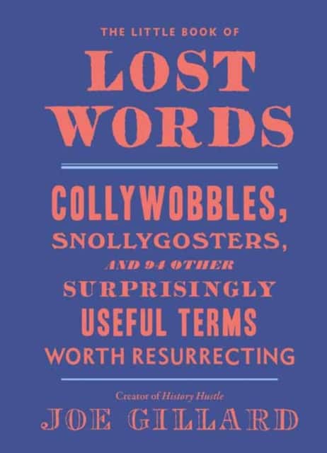 The Little Book of Lost Words av Joe Gillard