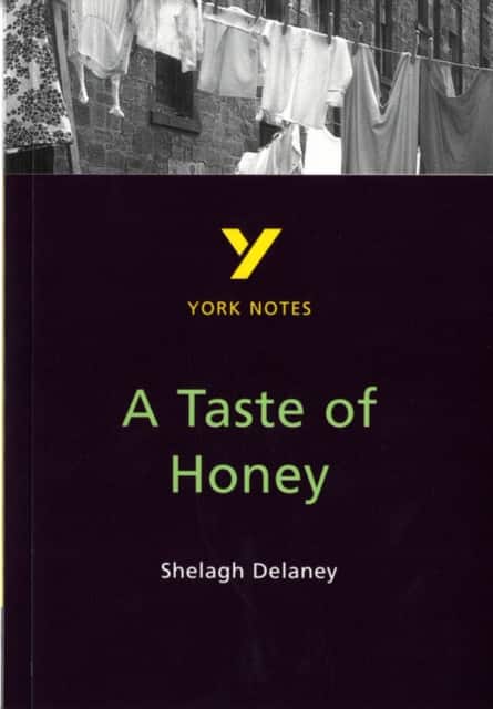 A Taste of Honey York Notes GCSE English Literature Study Guide - for 2026, 2027 exams av Bernadette Dyer