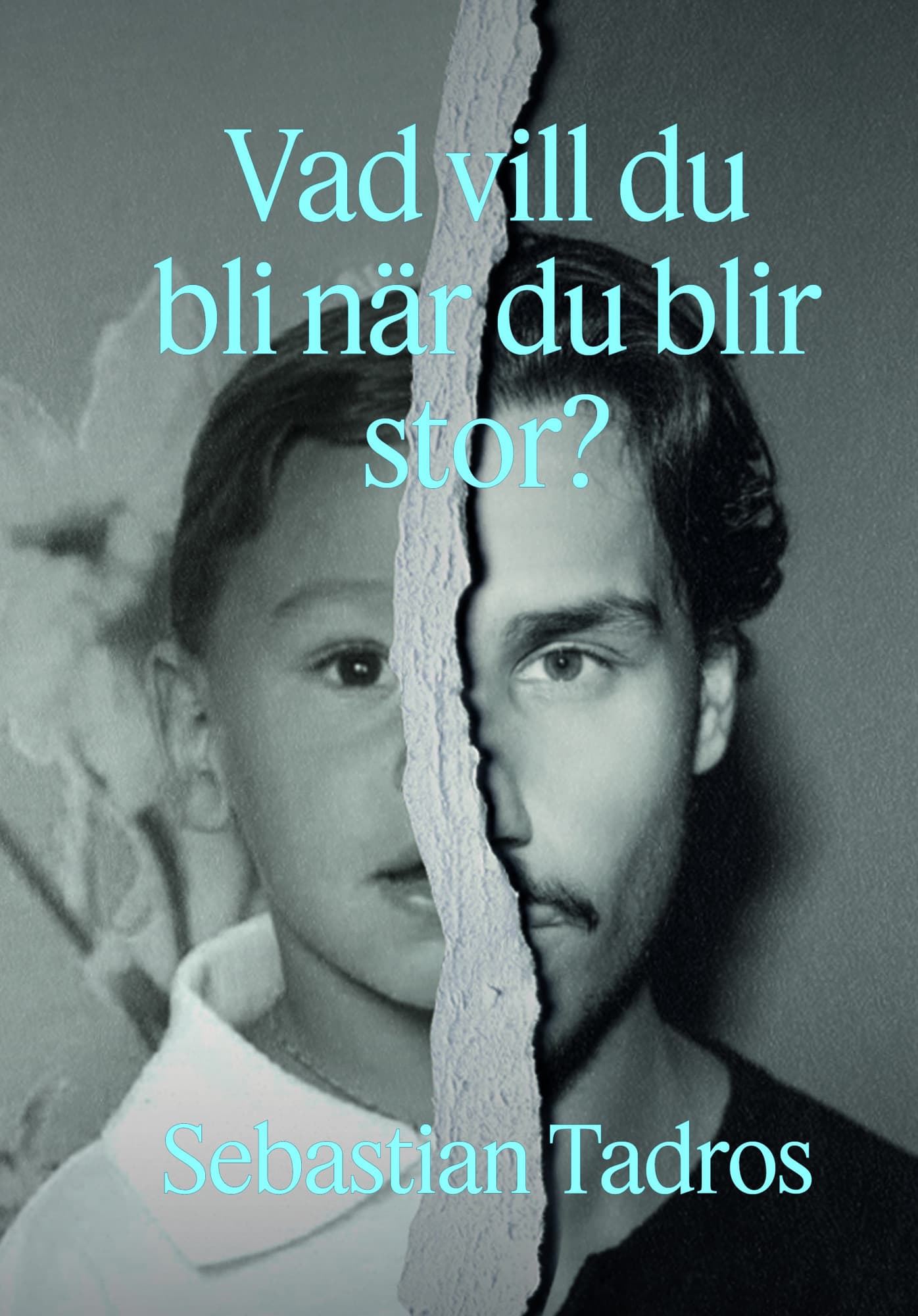 Vad vill du bli när du blir stor?