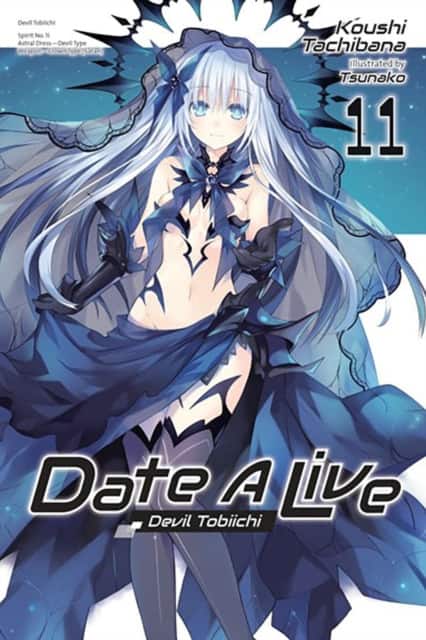 Date A Live, Vol. 11 (light novel) av Jocelyne Allen