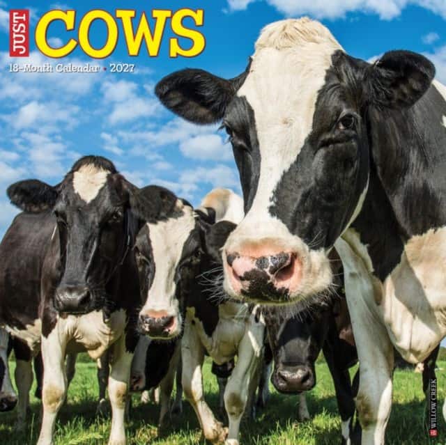 Cows 2027 Wall av Willow Creek Press