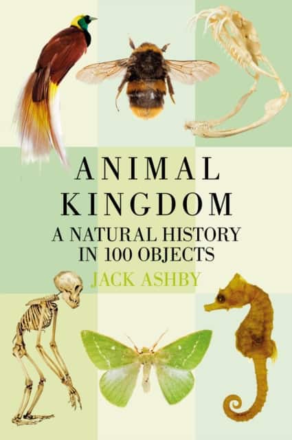 Animal Kingdom av Jack Ashby