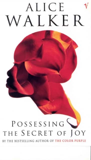 Possessing The Secret Of Joy av Alice Walker