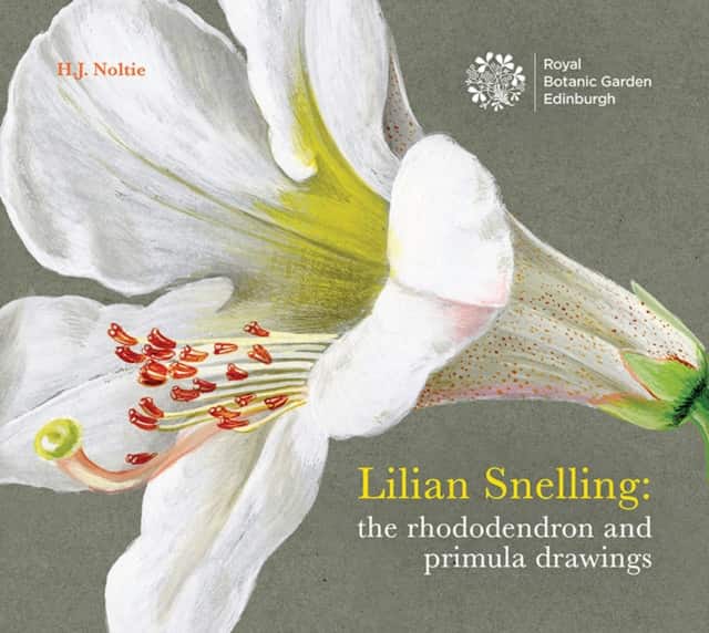 Lillian Snelling av Henry Noltie