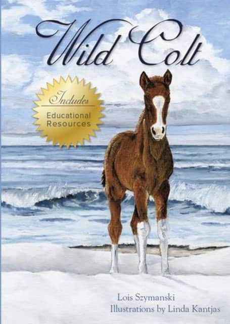 Wild Colt av Lois Szymanski