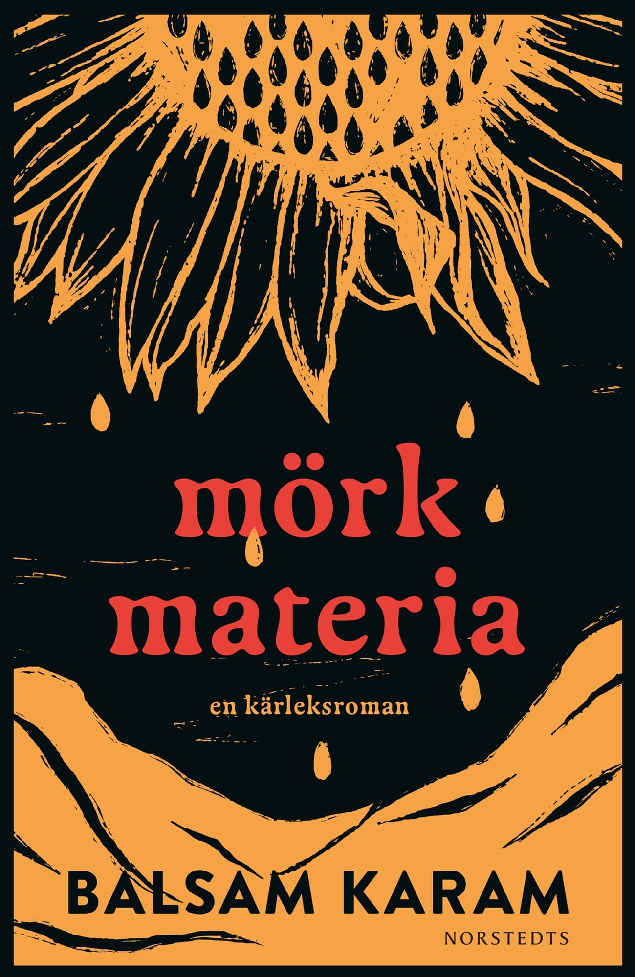 Mörk materia : En kärleksroman