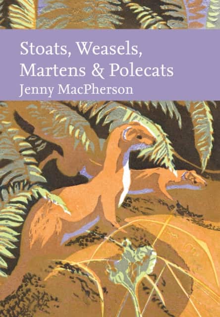 Stoats, Weasels, Martens and Polecats av Jenny MacPherson