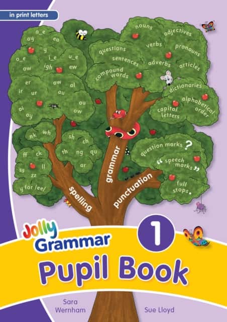 Grammar 1 Pupil Book av Sara Wernham