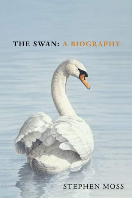 The Swan av Stephen Moss