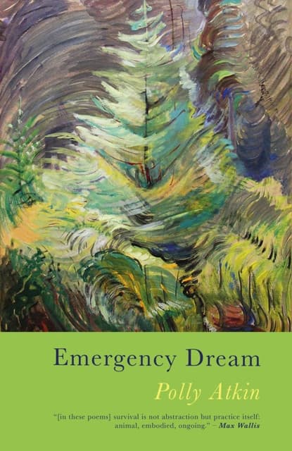 Emergency Dream