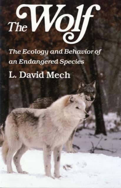 Wolf av David Mech