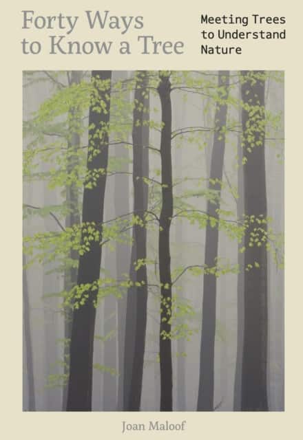 Forty Ways to Know a Tree av Joan Maloof