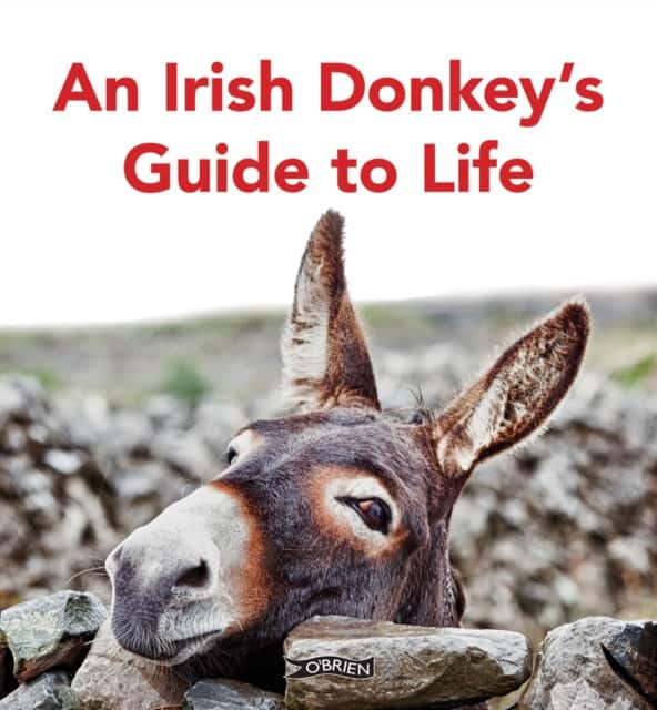 An Irish Donkey’s Guide to Life av Sarah O'Connor